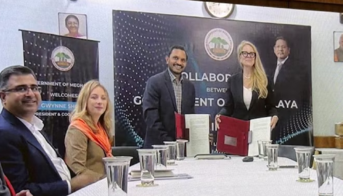 satellite connectivity solutions